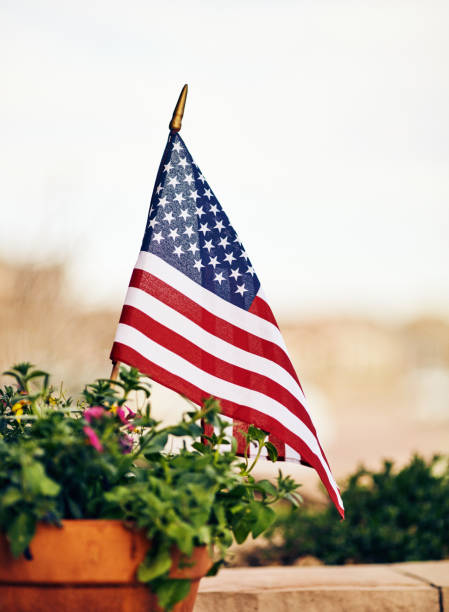 istock American flag surrounded by flowers 954306184