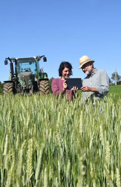 istock couple farmer on the field 954307130