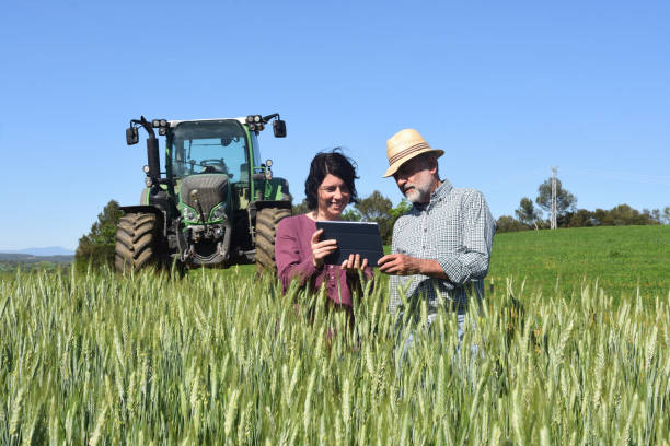 istock couple farmer on the field 954307142