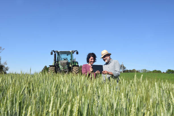 istock couple farmer on the field 954307194