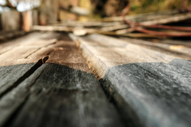 istock Table top and blur nature of the background 954307280