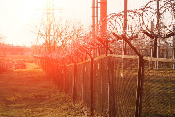 istock Barbed wire close-up. Conclusion, restriction of freedom. 954307464