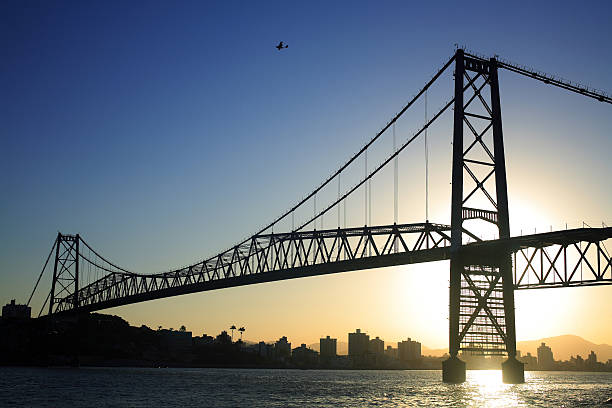Octavio Frias de Oliveira Bridge, famous cable stayed (Estaiada Bridge) bridge at Sao Paulo, Brazil