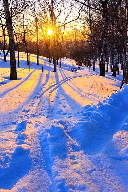 冬の公園で夕日 - rural scene russia ski track footpath ストックフォトと画像