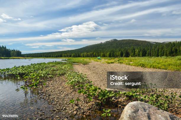 Komi Virgin Forests Stock Photo - Download Image Now - Beauty, Europe, Flowing