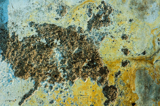 istock Old brick wall background colors. Antigua Guatemala 954317052