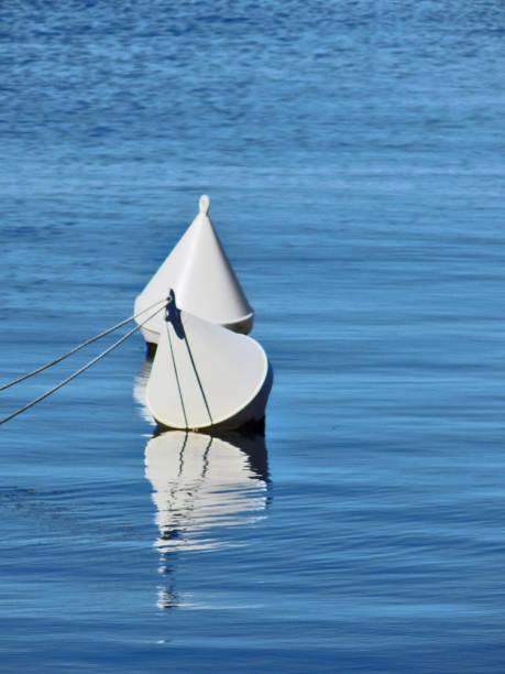 istock Two white buoys on a calm sea surface 954324540