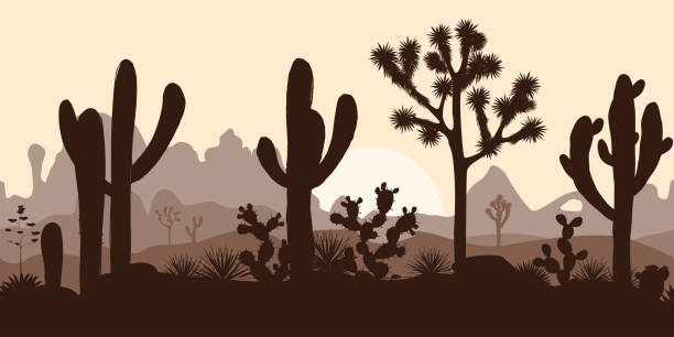 пустыня бесшовные картины с деревьями джошуа, опустыни, и сагуаро - joshua stock illustrations