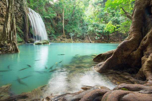 This is a horizontal color photograph of the lush landscape of Southeast Asia travel destination, Erawan Falls National Park in the Kanchanaburi province of Thailand. There are no people.