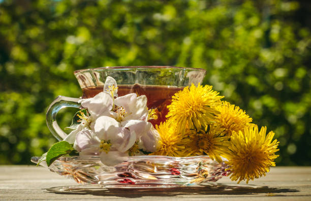 istock Spring green garden and a cup of hot herbal tea 954328908