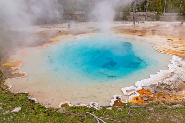 istock Yellowstone National Park colorful boiling pool 954329296
