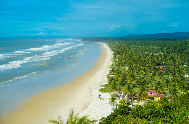 istock Bahia Beach, Brazil 954329586