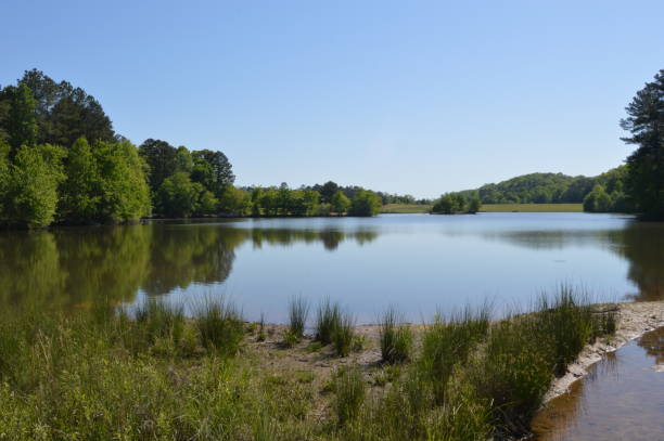 istock Lake View at Little Mulberry Park, GA 954330002