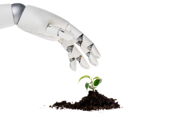 istock cropped shot of robot isolated on white 954335342