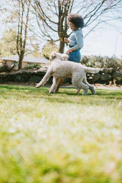 istock A Young Woman Plays Outside With Pet Poodle Dog 954338214