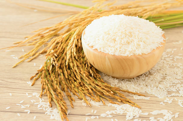 istock Close up Thai jasmine rice in bowl on wooden table 954338284