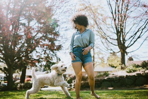 A happy young adult woman enjoys time at a park with her standard poodle, running, playing, and relaxing with the dog.