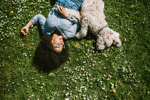 A happy young adult woman enjoys time at a park with her standard poodle, running, playing, and relaxing with the dog.