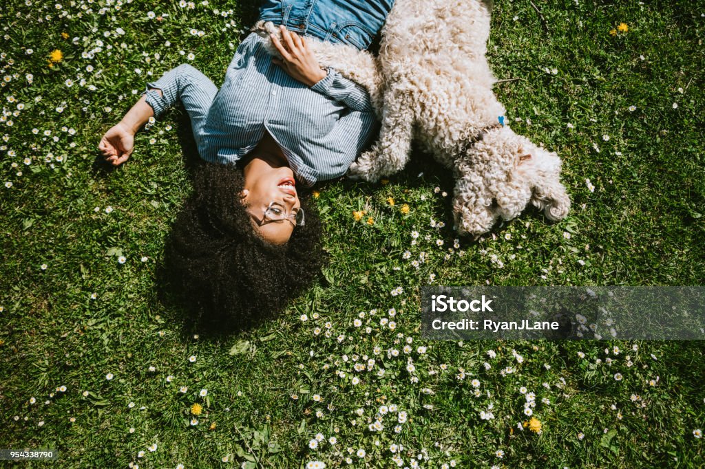 A Young Woman Rests in the Grass With Pet Poodle Dog A happy young adult woman enjoys time at a park with her standard poodle, running, playing, and relaxing with the dog. Dog Stock Photo