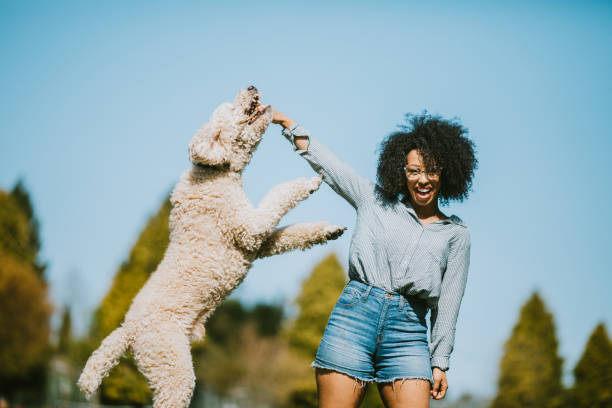 istock A Young Woman Plays Outside With Pet Poodle Dog 954339034