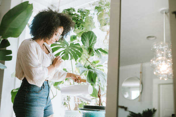una mujer joven riega sus plantas de interior - planta de interior fotografías e imágenes de stock