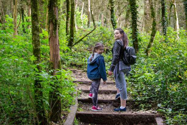 istock two girls-tourists in the subtropical forest 954343132