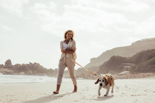 reife frau, die ihr hund am strand spazieren gehen - pet walking stock-fotos und bilder