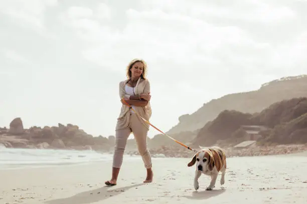 Photo of Mature woman walking her dog on the beach