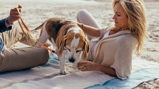 Senior woman lying on the beach towel with pet dog and her husband. Mature couple relaxing with pet puppy on the shore.