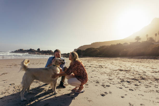 istock Senior couple with pet dog on beach 954344412