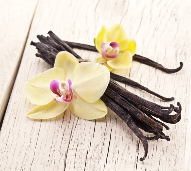 istock Dried vanilla pods and orchid vanilla flowers. 954347284