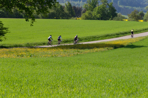 istock cyclists on a raceday in a distance view 954347536