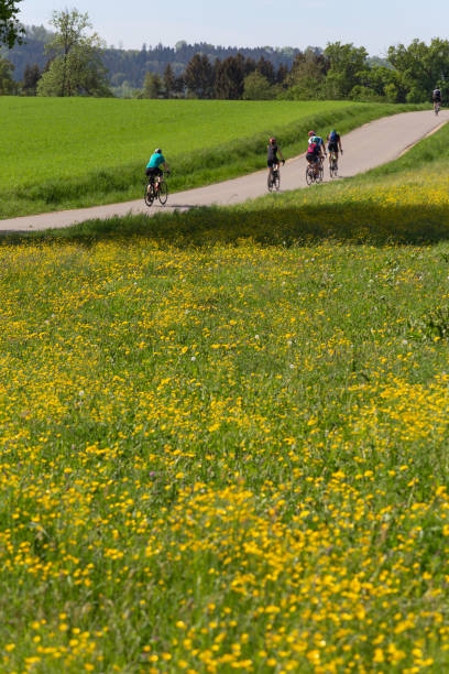 istock cyclists on a raceday in a distance view 954347548