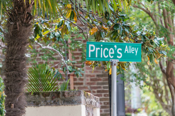 istock Price's Alley, Charleston, South Carolina 954353146