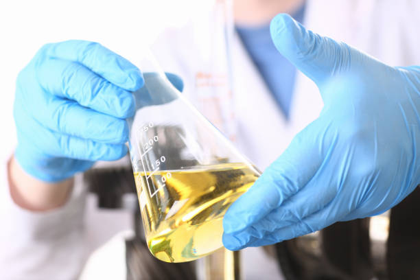 istock Male hands in protective gloves hold test tube 954353782