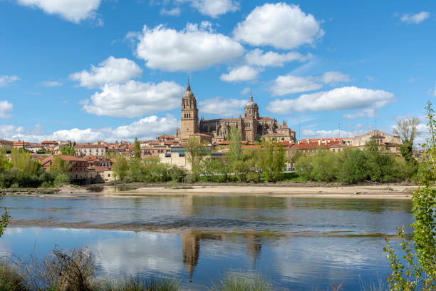 istock Cathedrals of Salamanca 954357570
