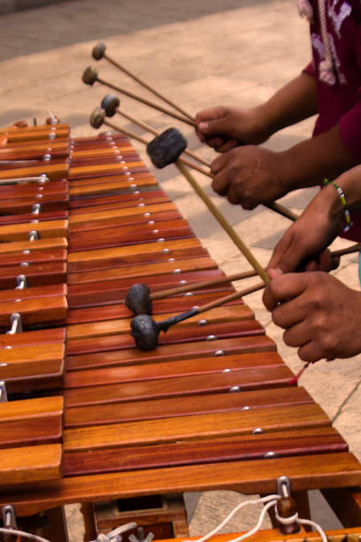 les joueurs de marimba - vibraphone photos et images de collection