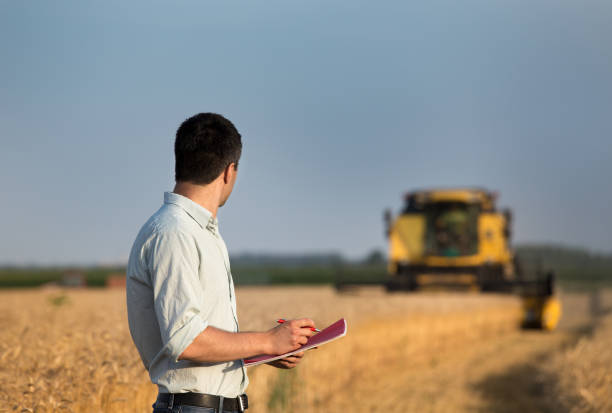 istock Engineer with note book and combine harvester in field 954358572