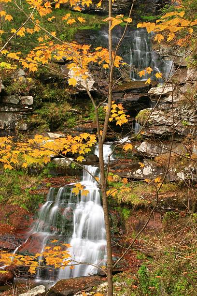 istock Haines Falls thru Yellow Leaves 95436317