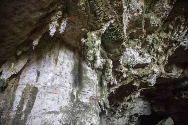 istock Gloomy cold cave, Dominican Republic 954370964