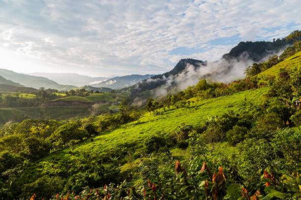 istock Landscape with clouds, jungles, mountains and crops 954371960