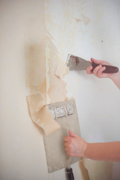 istock Removing wallpaper with steamer and scraper 954375560
