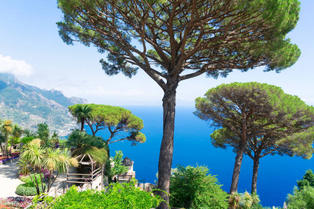 istock Capri island, Italy 954386724