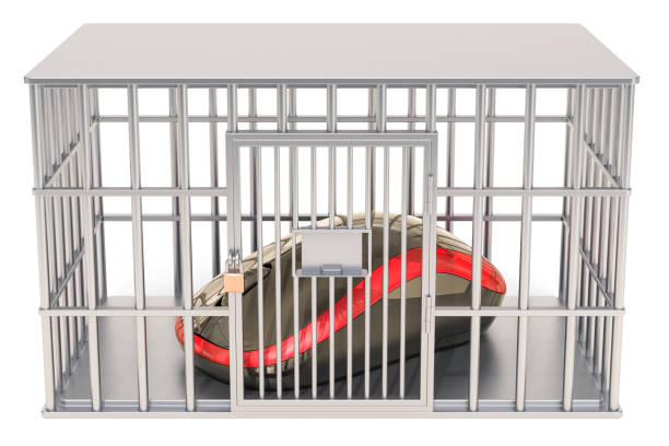 Computer Mouse Cage 3,700+ Mouse Cage Stock Photos, Pictures & Royalty-Free Images - iStock