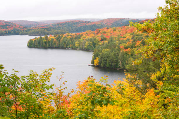 istock Autumn scenery around lake at Algonquin Provincial Park 954404306