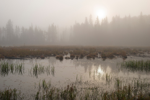 Foggy morning at Algonquin Provincial Park in Ontario, Canada