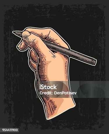 istock Female hand holding a pencil. Vector black vintage engraving 954411900
