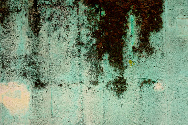 istock Old Cracked Concrete Wall With Peeling Paint And Stains 954413066