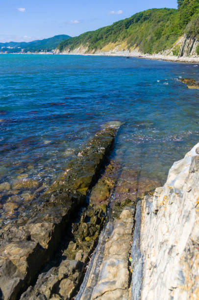 istock rocky sea shore with pebble beach, waves with foam 954418206