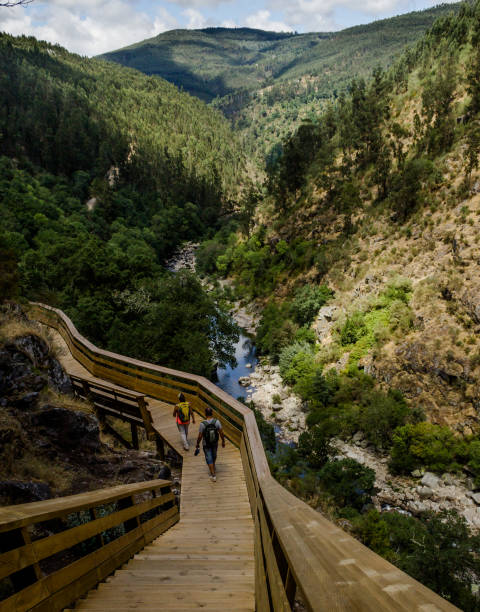 istock Walkway Along the Rocky River in the Mountains 2 954418856